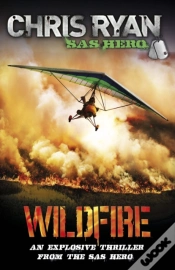 Capa do artigo Wildfire
