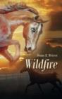 Wildfire - Preview