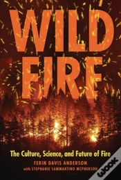 Capa do artigo Wildfire