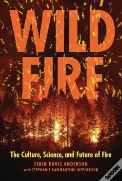 Capa do artigo Wildfire