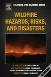 Capa do artigo Wildfire Hazards, Risks And Disasters