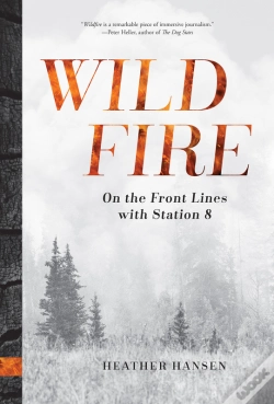 Capa do artigo Wildfire