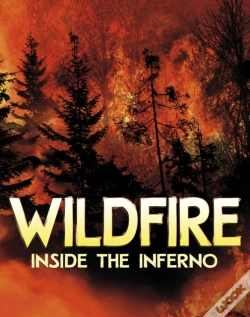 Capa do artigo Wildfire, Inside The Inferno