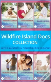 Capa do artigo Wildfire Island Docs