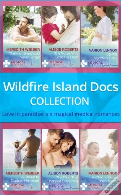 Capa do artigo Wildfire Island Docs