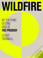 Capa do artigo Wildfire