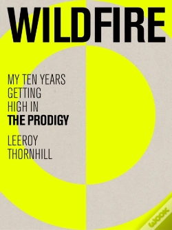 Capa do artigo Wildfire