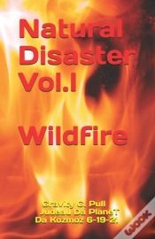 Capa do artigo Wildfire