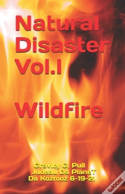Capa do artigo Wildfire