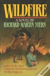 Capa do artigo Wildfire