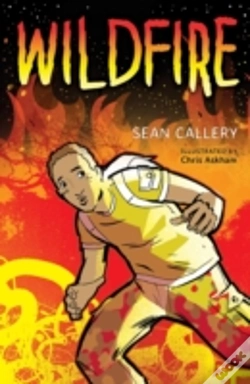 Capa do artigo Wildfire