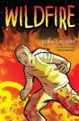 Wildfire - Preview