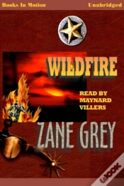 Capa do artigo Wildfire