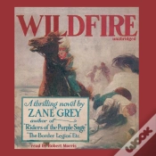 Capa do artigo Wildfire