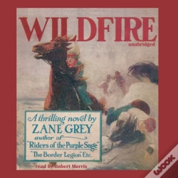 Capa do artigo Wildfire