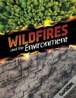 Wildfires And The Environment