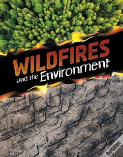 Capa do artigo Wildfires And The Environment