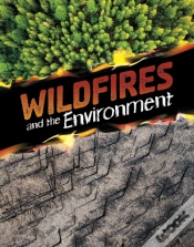 Capa do artigo Wildfires And The Environment
