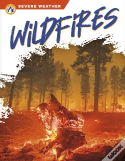 Capa do artigo Wildfires