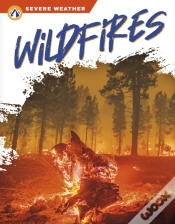 Capa do artigo Wildfires