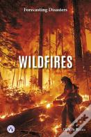 Wildfires