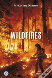 Capa do artigo Wildfires