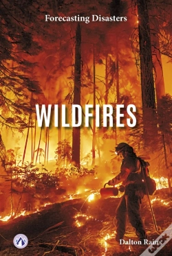 Capa do artigo Wildfires
