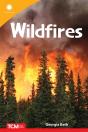 Wildfires - Preview