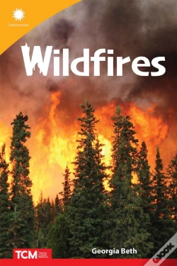 Capa do artigo Wildfires