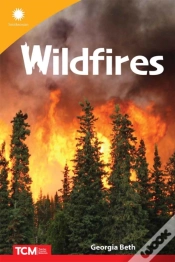 Capa do artigo Wildfires