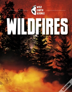 Capa do artigo Wildfires