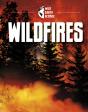 Wildfires - Preview