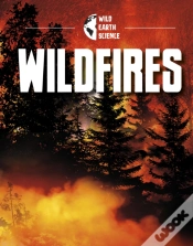 Capa do artigo Wildfires