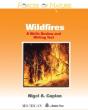 Wildfires - Preview