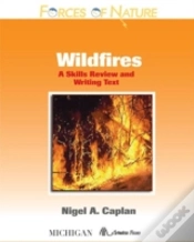 Capa do artigo Wildfires