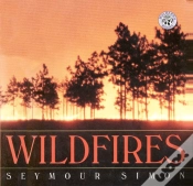 Capa do artigo Wildfires