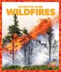 Wildfires - Preview
