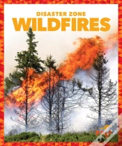 Capa do artigo Wildfires