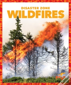 Capa do artigo Wildfires