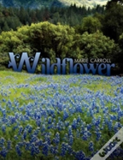 Capa do artigo Wildflower