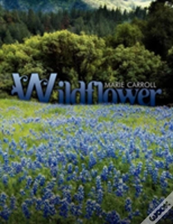 Capa do artigo Wildflower