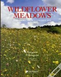 Wildflower Meadows