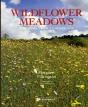 Wildflower Meadows - Preview