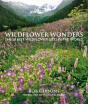 Wildflower Wonders - Preview