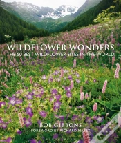 Capa do artigo Wildflower Wonders