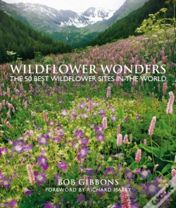 Capa do artigo Wildflower Wonders