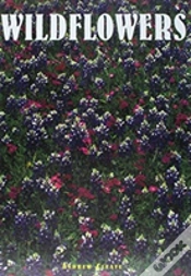 Capa do artigo Wildflowers