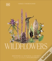 Wildflowers