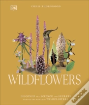 Capa do artigo Wildflowers