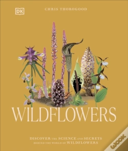Capa do artigo Wildflowers